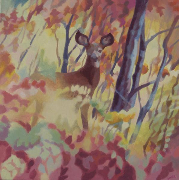 Deer in Autumn